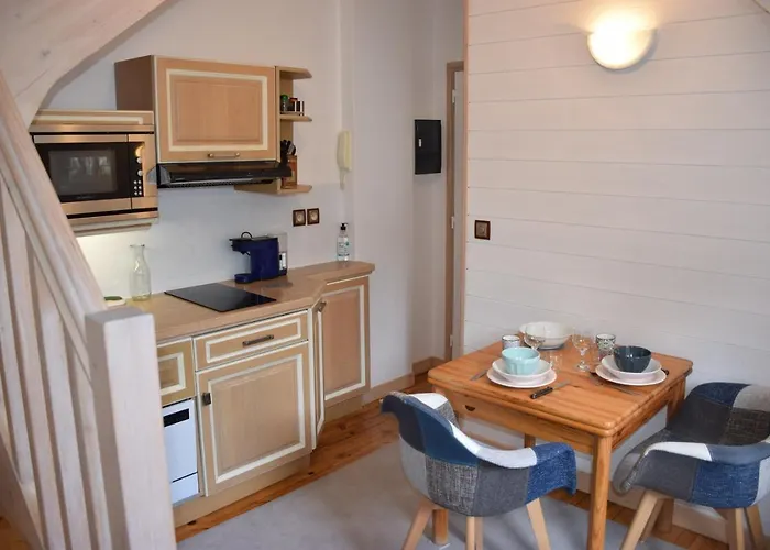 Petit Duplex De Charme Sous Les Toits Du Mont-dore