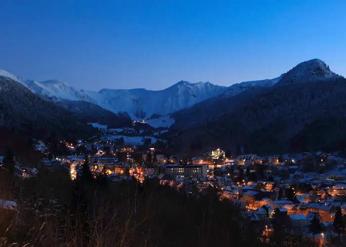 Petit Duplex De Charme Sous Les Toits Du Mont-dore * Mont-Dore